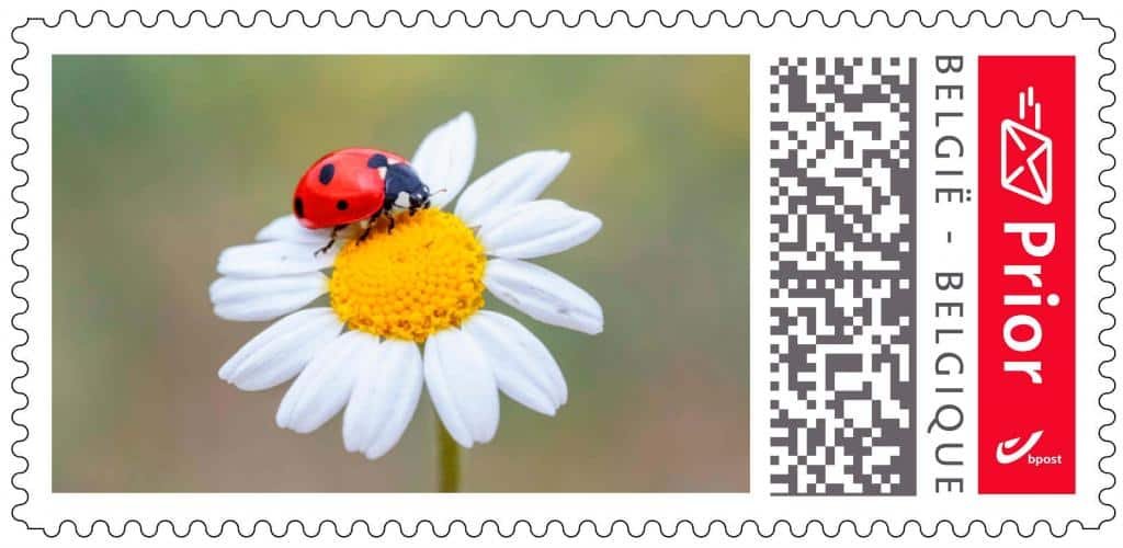 Comment affranchir correctement une lettre en Belgique Timbre-Philatelie Comment affranchir correctement une lettre en Belgique (2)