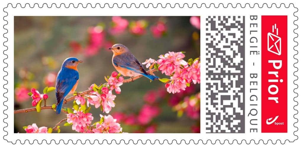 Comment affranchir correctement une lettre en Belgique Timbre-Philatelie Comment affranchir correctement une lettre en Belgique